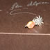 Piedras: Ref. 1102