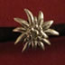 Coleteros: Ref. 1123